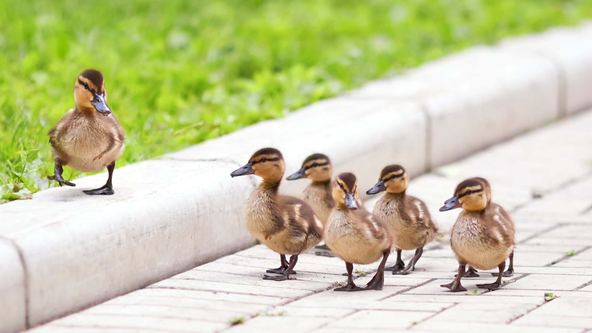 Optimising treasury systems and processes