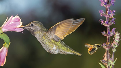 The power of a good partner