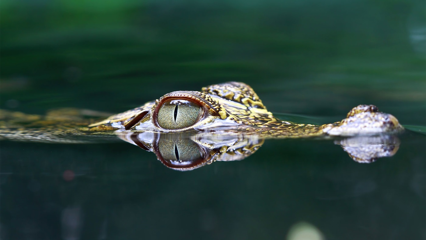 Making it hard for miscreants