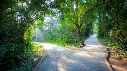 司库金融科技是否会追随零售的脚步？