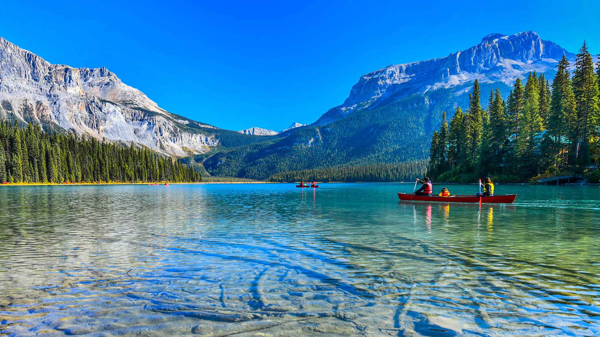 Canada’s treasury teams prepare for payments revolution