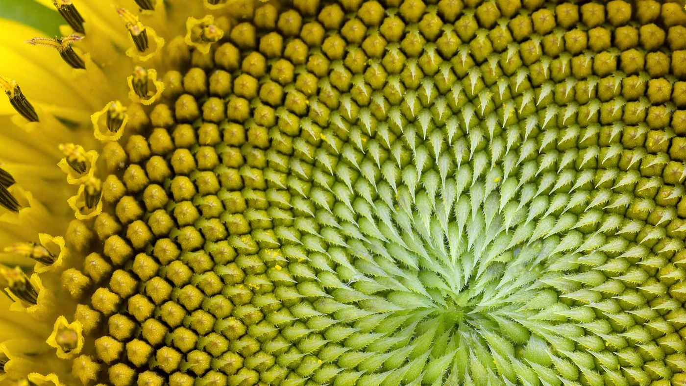 Treasury centre locations in Europe